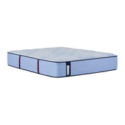 Hartsgrove Spring Mattress - Furniture City (CA)l