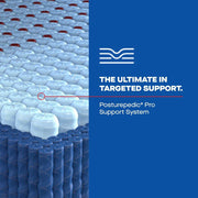 Sonterra Spring Mattress - Furniture City (CA)l