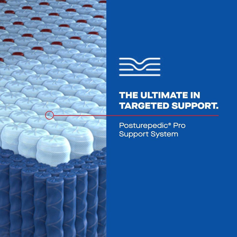 Sonterra Spring Mattress - Furniture City (CA)l