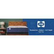 Moreland Ave Spring Mattress - Furniture City (CA)l