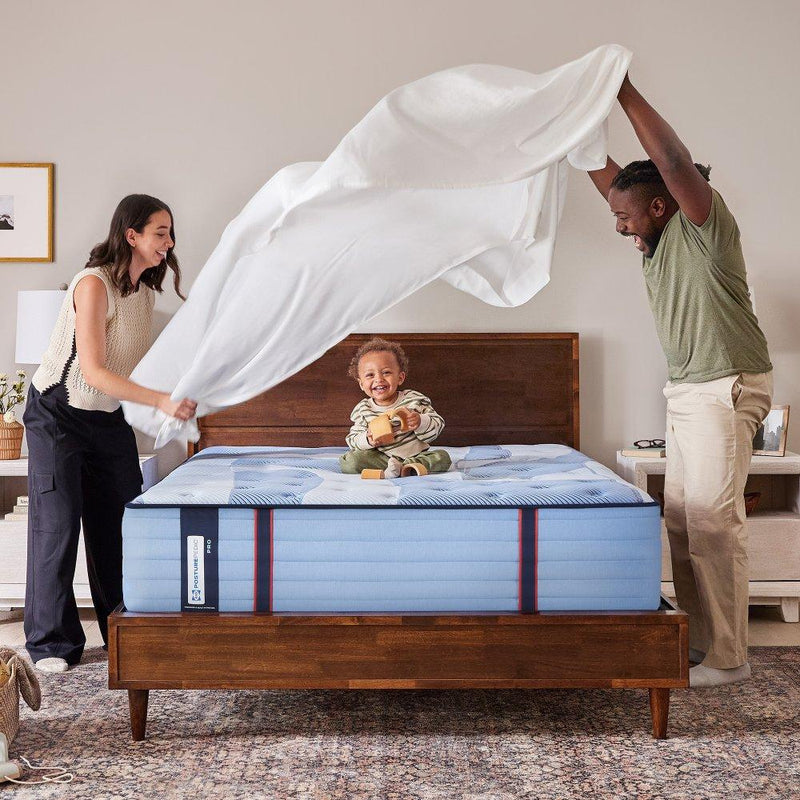 Sulina Spring Mattress - Furniture City (CA)l