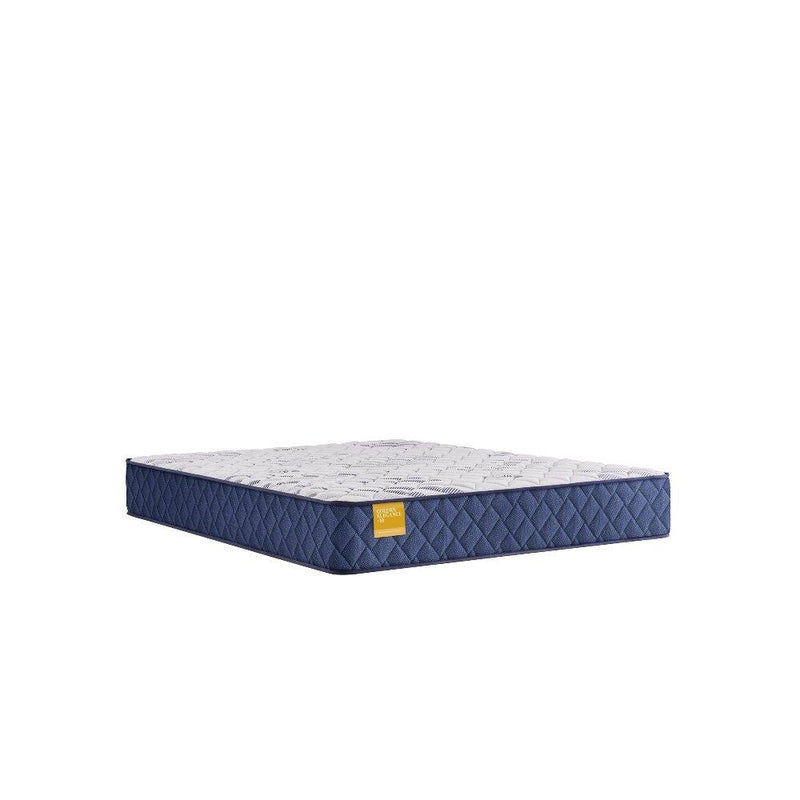 Palace Park Innerspring Mattress - Furniture City (CA)l