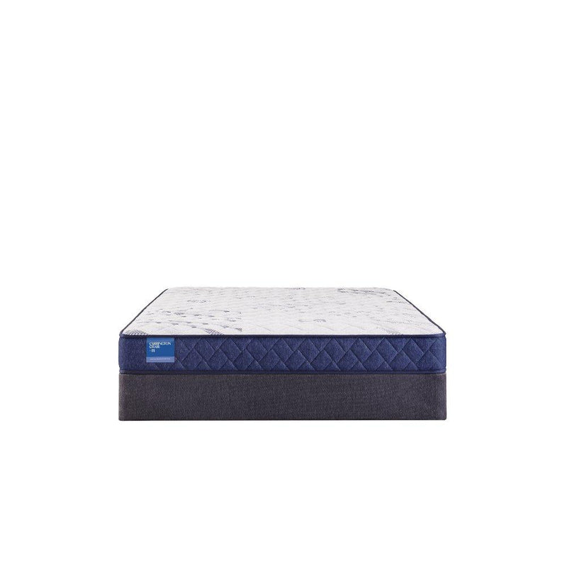 Resting Manor Foam Mattress - Furniture City (CA)l
