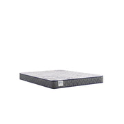 Paisley Foam Mattress - Furniture City (CA)l