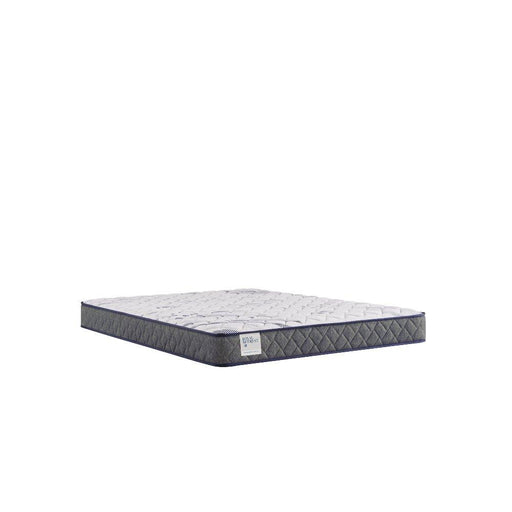 Sealy Paisley Foam Mattress - Furniture City (CA)l