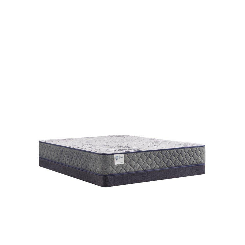Provision Innerspring Mattress - Furniture City (CA)l
