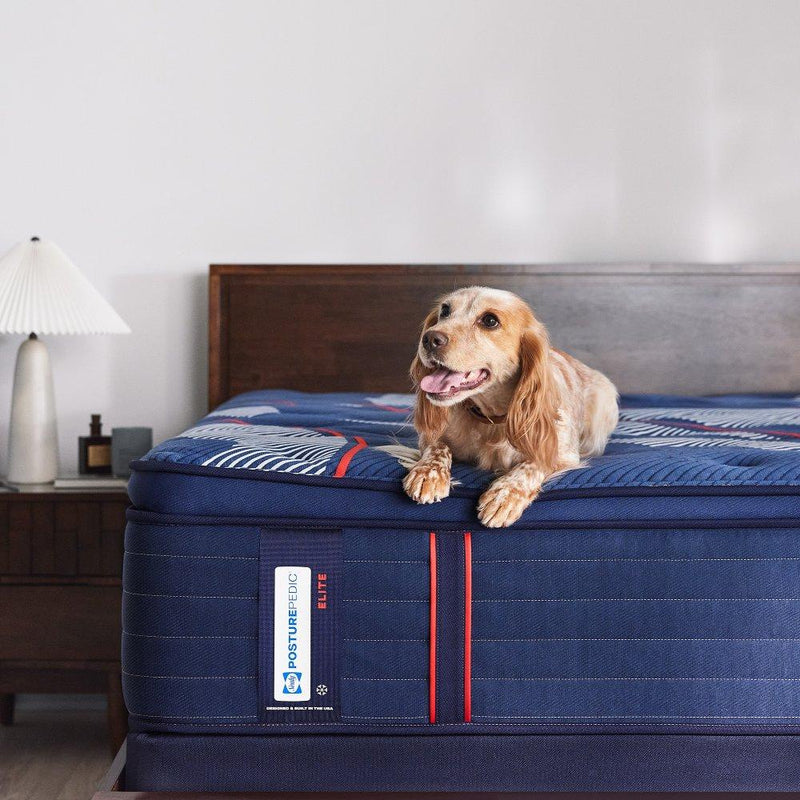 Albany II Spring Mattress - Furniture City (CA)l