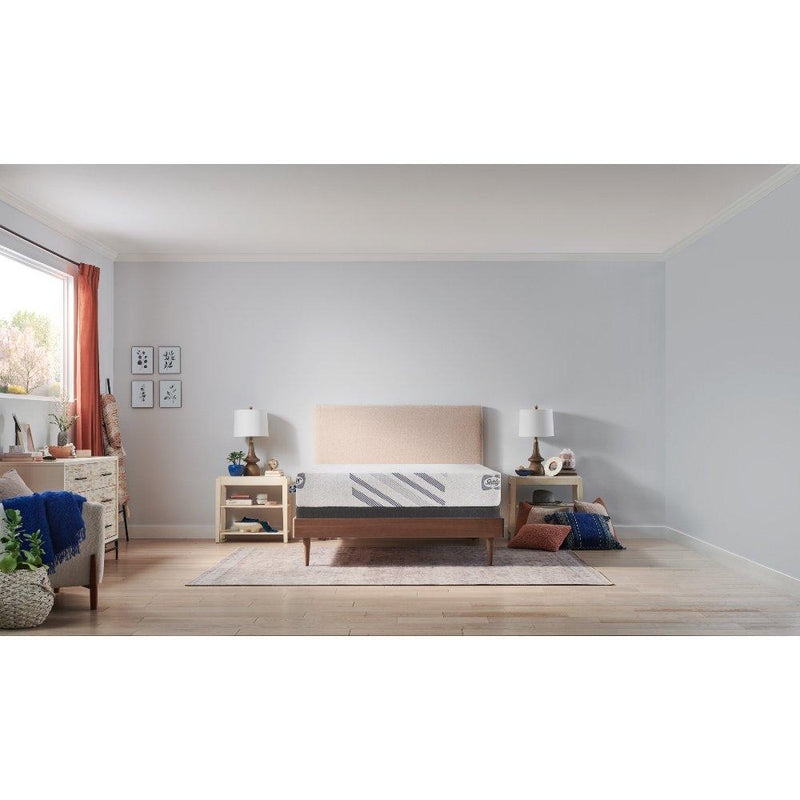 Provision Foam Mattress - Furniture City (CA)l