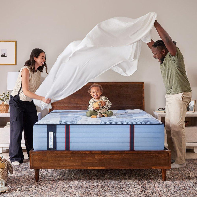 Sulina Spring Mattress - Furniture City (CA)l