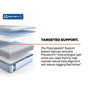 Goddard Hybrid Mattress - Furniture City (CA)l