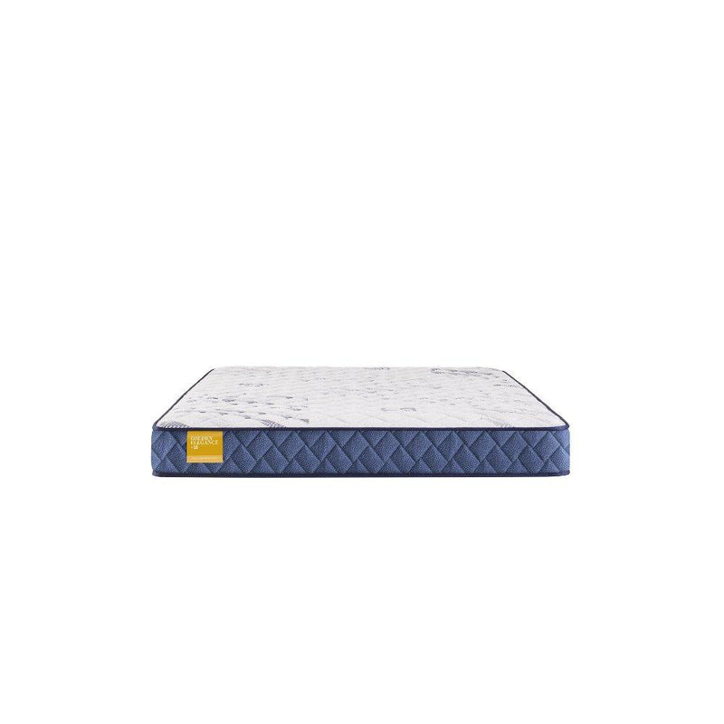 Erie Foam Mattress - Furniture City (CA)l