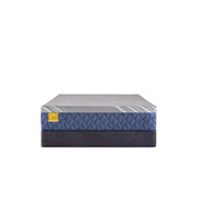 Park Plaza Hybrid Mattress - Furniture City (CA)l