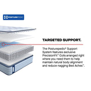 Fayette Spring Mattress - Furniture City (CA)l