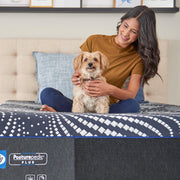 High Point Foam Mattress - Furniture City (CA)l