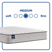 Spring Bloom Innerspring Mattress - Furniture City (CA)l