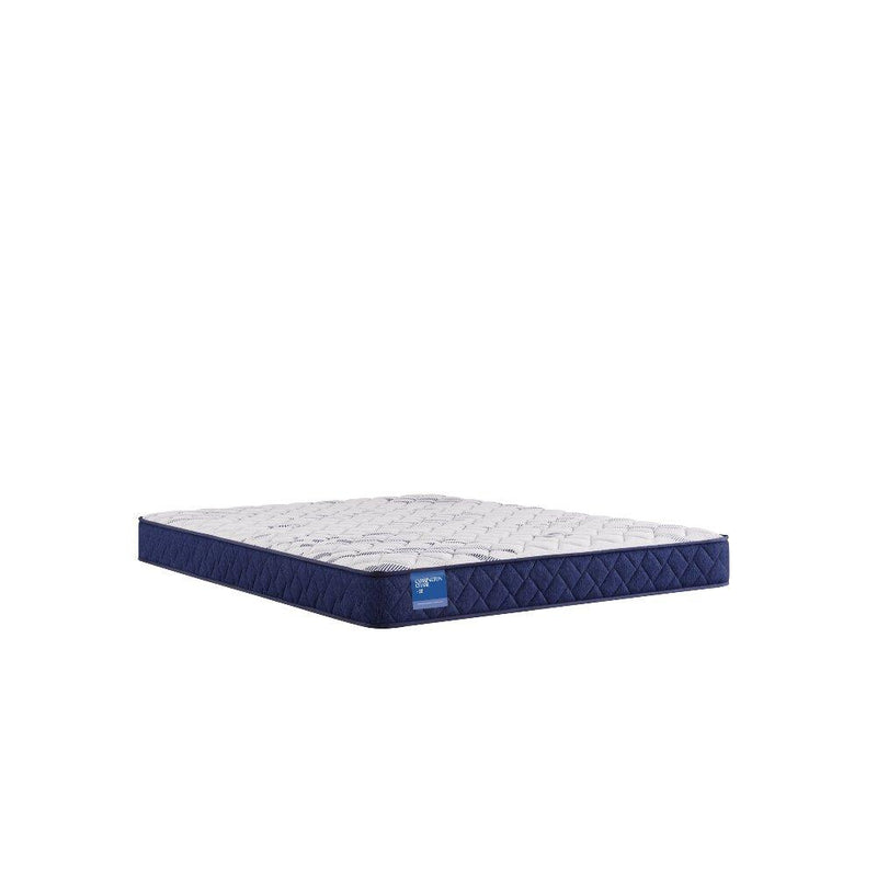 Resting Manor Foam Mattress - Furniture City (CA)l