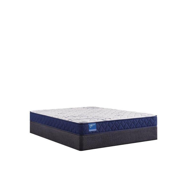 Resting Manor Foam Mattress - Furniture City (CA)l