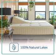 Sealy® Naturals™ Hybrid Mattress - Furniture City (CA)l