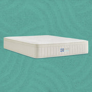 Sealy® Naturals™ Hybrid Mattress - Furniture City (CA)l
