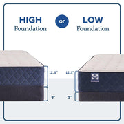 Sealy Zen Garden Spring Mattress - Furniture City (CA)l