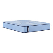 Goddard Spring Mattress - Furniture City (CA)l