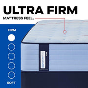 Glenshaw Spring Mattress - Furniture City (CA)l