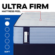Plainfield Spring Mattress - Furniture City (CA)l
