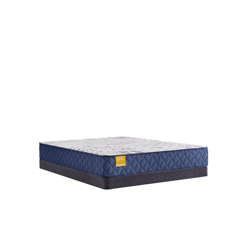 Palace Park Innerspring Mattress - Furniture City (CA)l