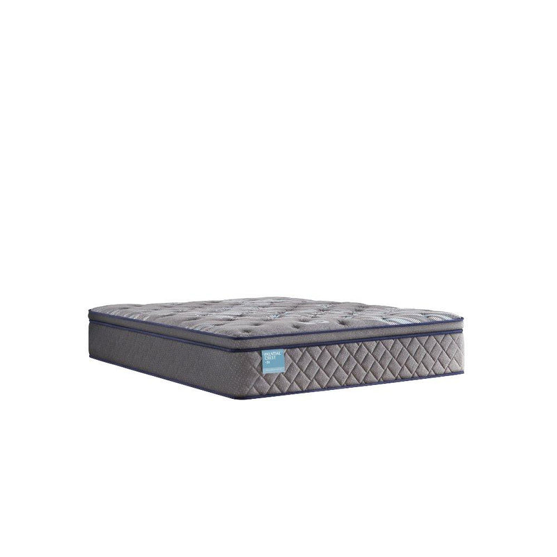 Delacroix Innerspring Mattress - Furniture City (CA)l