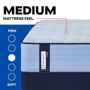 Equus Spring Mattress - Furniture City (CA)l