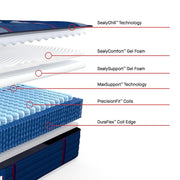 Albany II Spring Mattress - Furniture City (CA)l