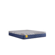 Royal Park Hybid Hybrid Mattress - Furniture City (CA)l