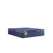 Forsyth Park Hybrid Mattress - Furniture City (CA)l