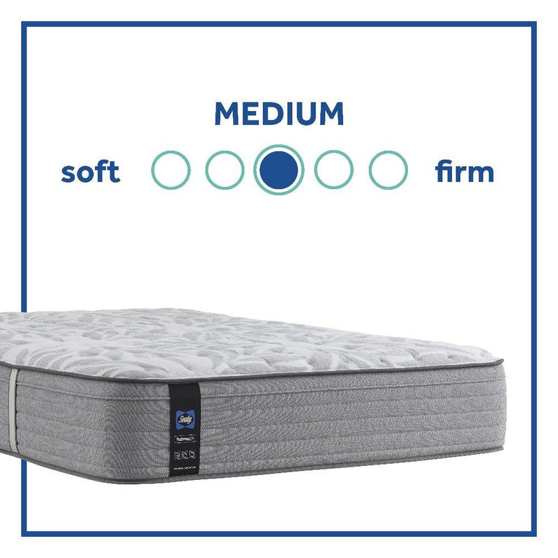 Silver Pine Innerspring Mattress - Furniture City (CA)l