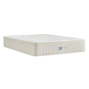 Sealy® Naturals™ Hybrid Mattress - Furniture City (CA)l