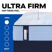 Lovato Spring Mattress - Furniture City (CA)l