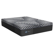High Point Foam Mattress - Furniture City (CA)l