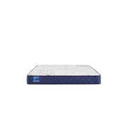 Resting Manor Foam Mattress - Furniture City (CA)l
