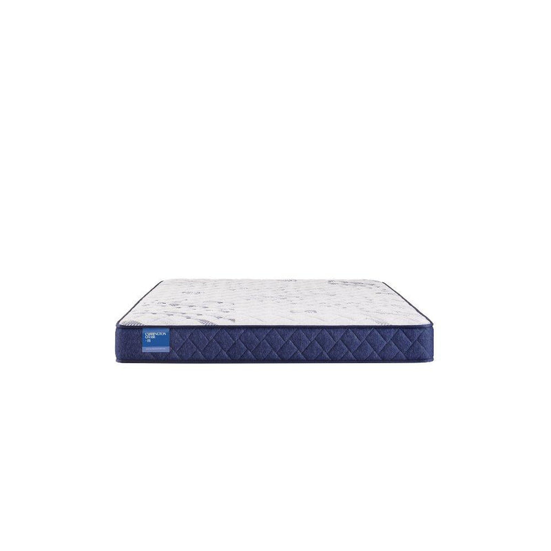 Resting Manor Foam Mattress - Furniture City (CA)l