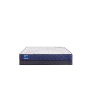 Resting Manor Foam Mattress - Furniture City (CA)l
