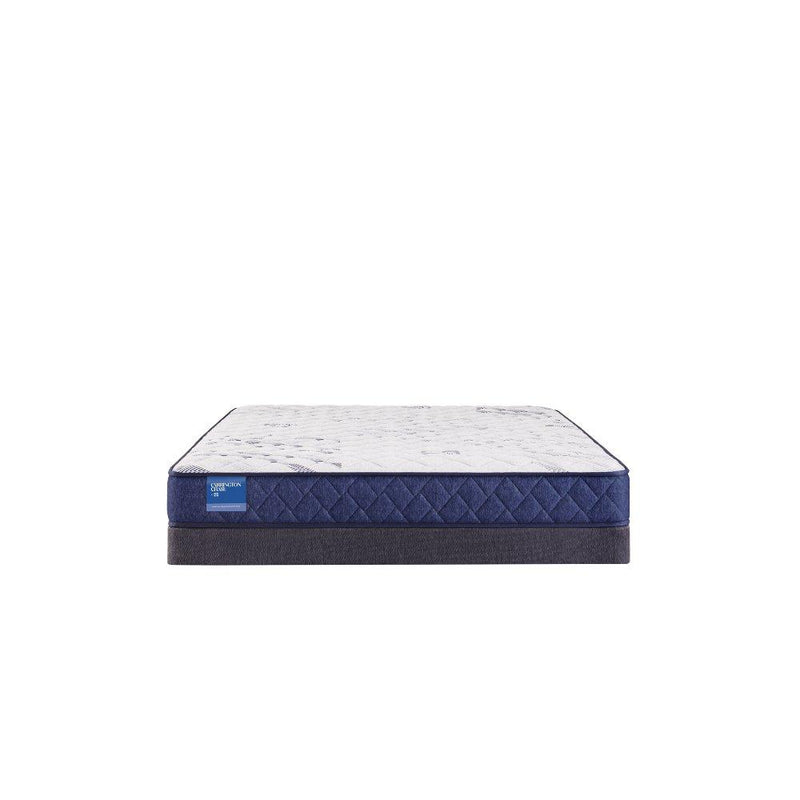 Resting Manor Foam Mattress - Furniture City (CA)l