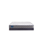 Moon Cove Foam Mattress - Furniture City (CA)l
