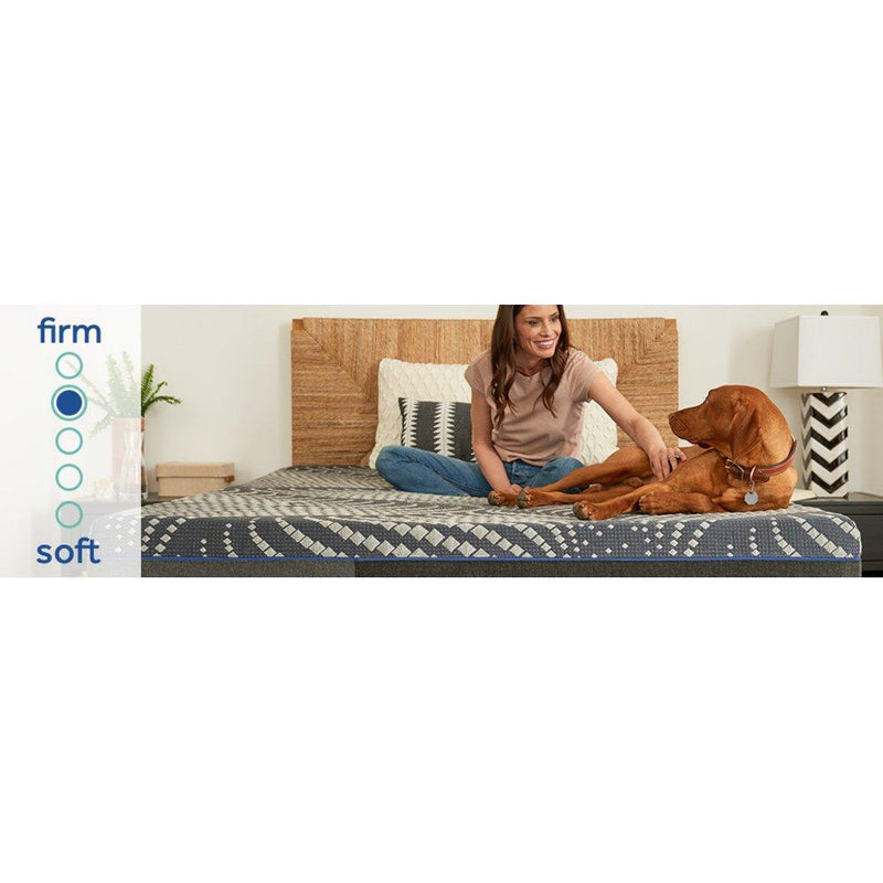 Albany Foam Mattress - Furniture City (CA)l