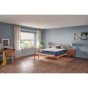 Palace Park Innerspring Mattress - Furniture City (CA)l