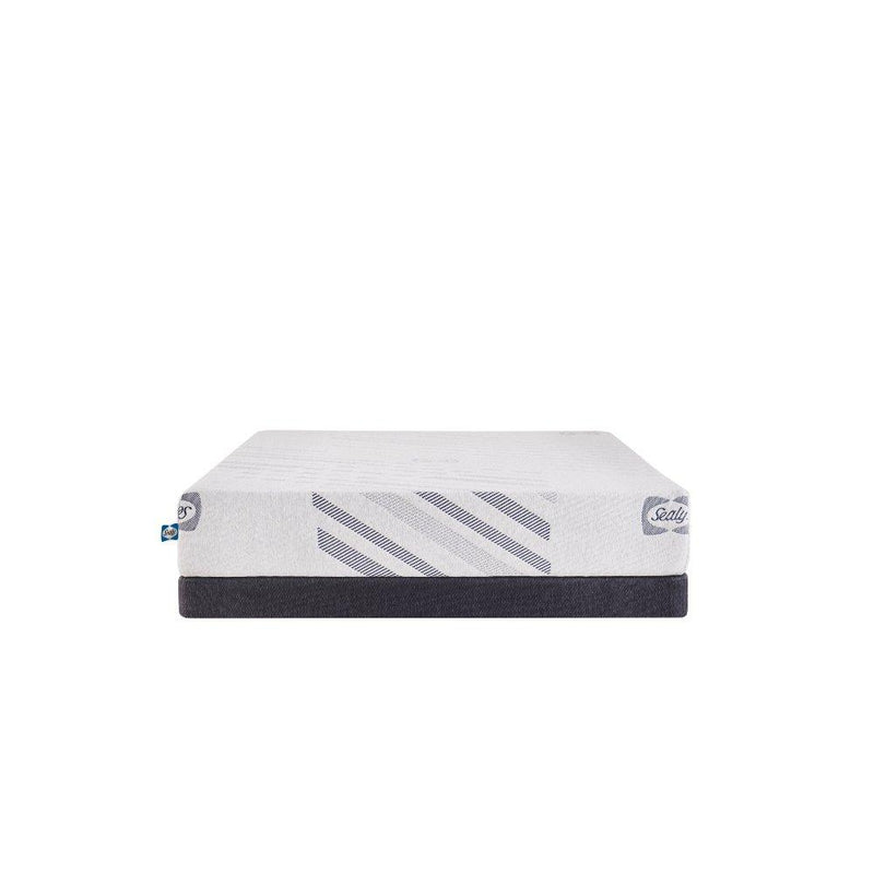 Palace Park Foam Mattress - Furniture City (CA)l