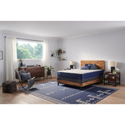 Murry Hill Innerspring Mattress - Furniture City (CA)l
