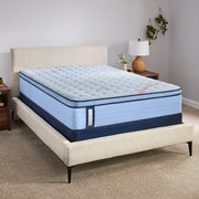 Dudley Spring Mattress - Furniture City (CA)l