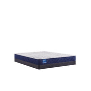 Resting Manor Foam Mattress - Furniture City (CA)l
