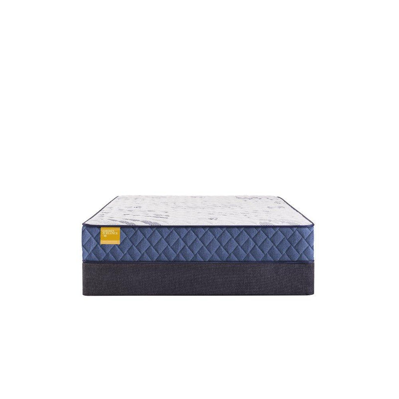 Palace Park Innerspring Mattress - Furniture City (CA)l