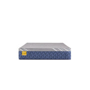 Bridgerton Hybrid Mattress - Furniture City (CA)l